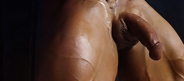 Bite de bodybuilder dont on ne fera pas de spoiler ! Bite de bodybuilder dont on ne fera pas de spoiler !